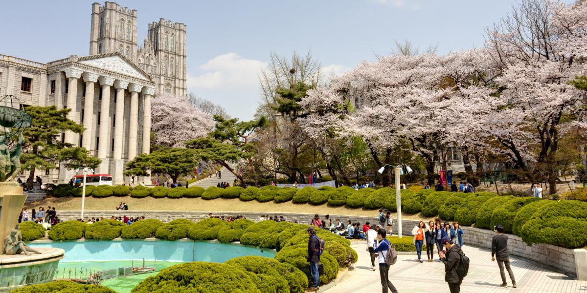 Global Spotlight: South Korea | NAFSA